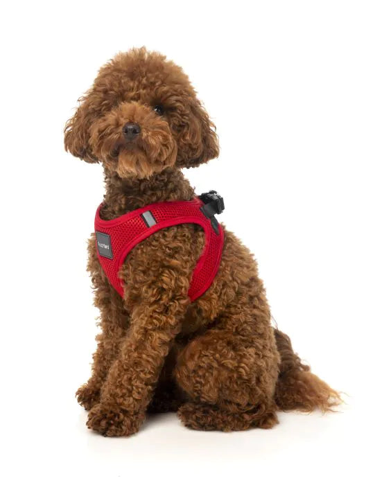 FuzzYard Rebel - Step in Dog Harness Red