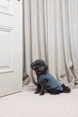 Fuzzyard Life Corduroy Jacket - Slate Grey