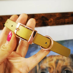Gold Biothane Vegan Dog Collar