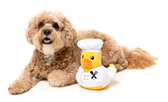 Gordon Quacksay Dog Toy by FuzzYard