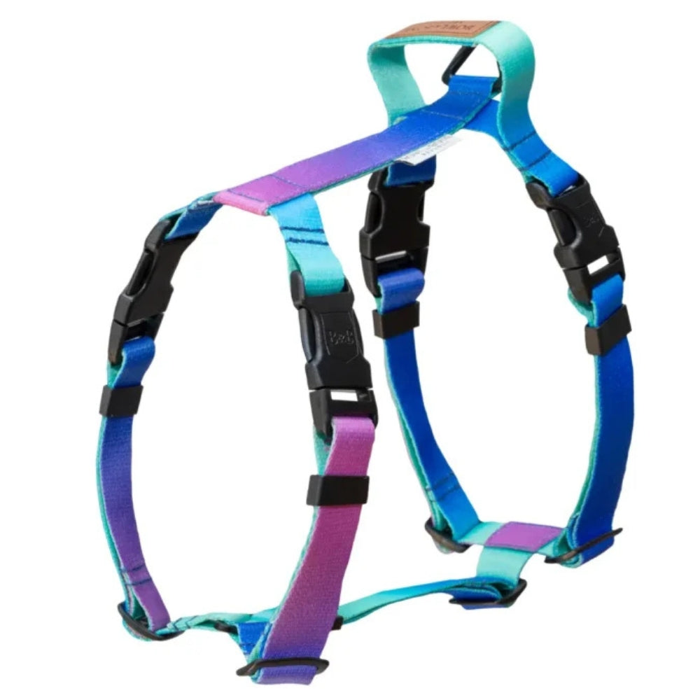 Gradient Mint Dog Harness by Bowl and Bone