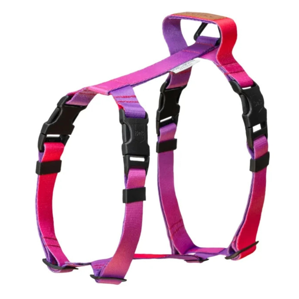 Gradient Tango Dog Harness by Bowl and Bone