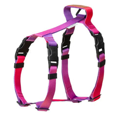 Gradient Tango Dog Harness by Bowl and Bone