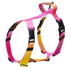 Gradient Yellow Dog Harness Bowl and Bone