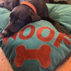 Green Velvet Woof Dog Bed