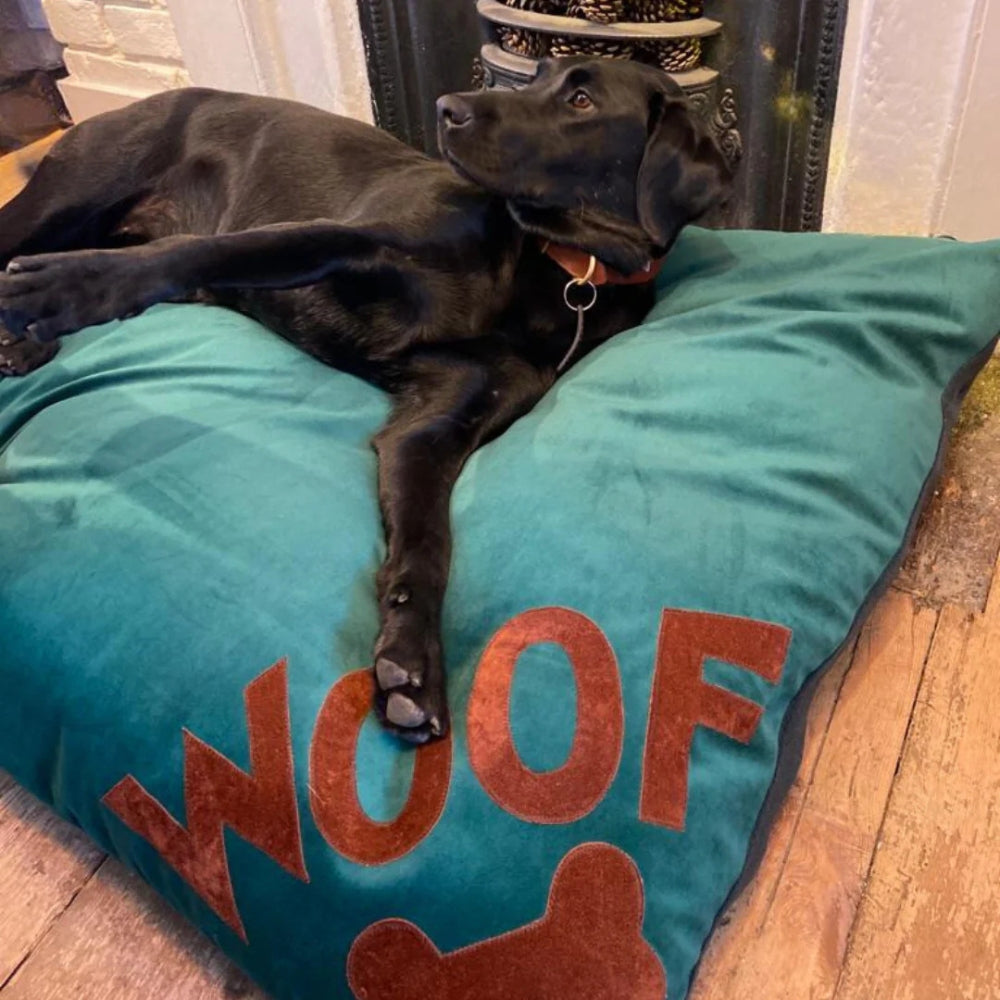 Green Velvet Woof Dog Bed