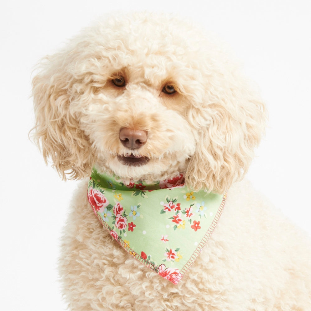 Green Vintage Dog Bandana