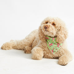 Green Vintage Dog Bandana