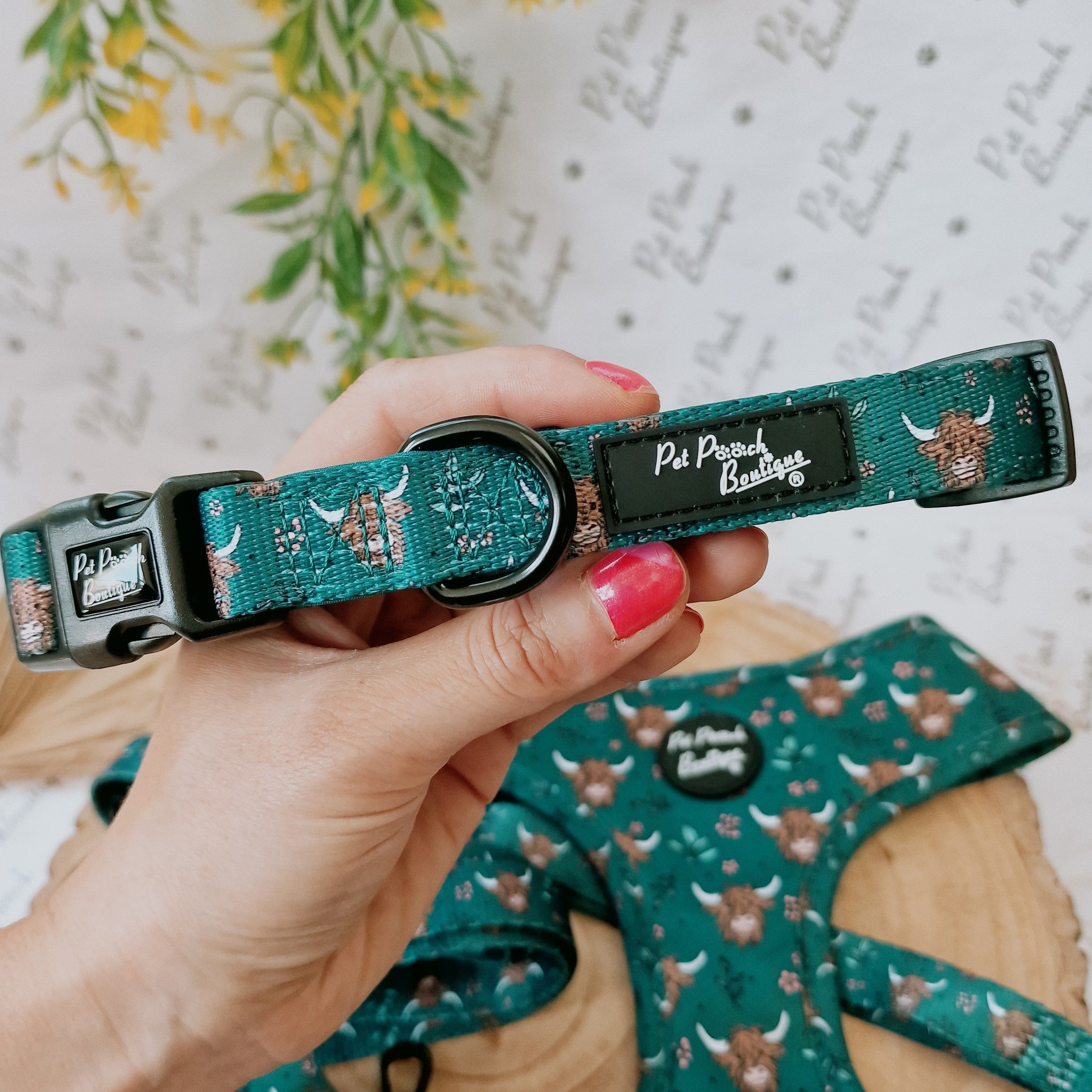 Happy Highland Cow Dog Collar