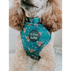 Happy Highland Cow Dog Collar