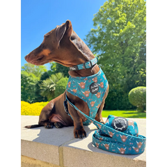 Happy Highland Cow Dog Collar Set