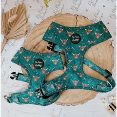 Happy Highland Cow Dog Harness