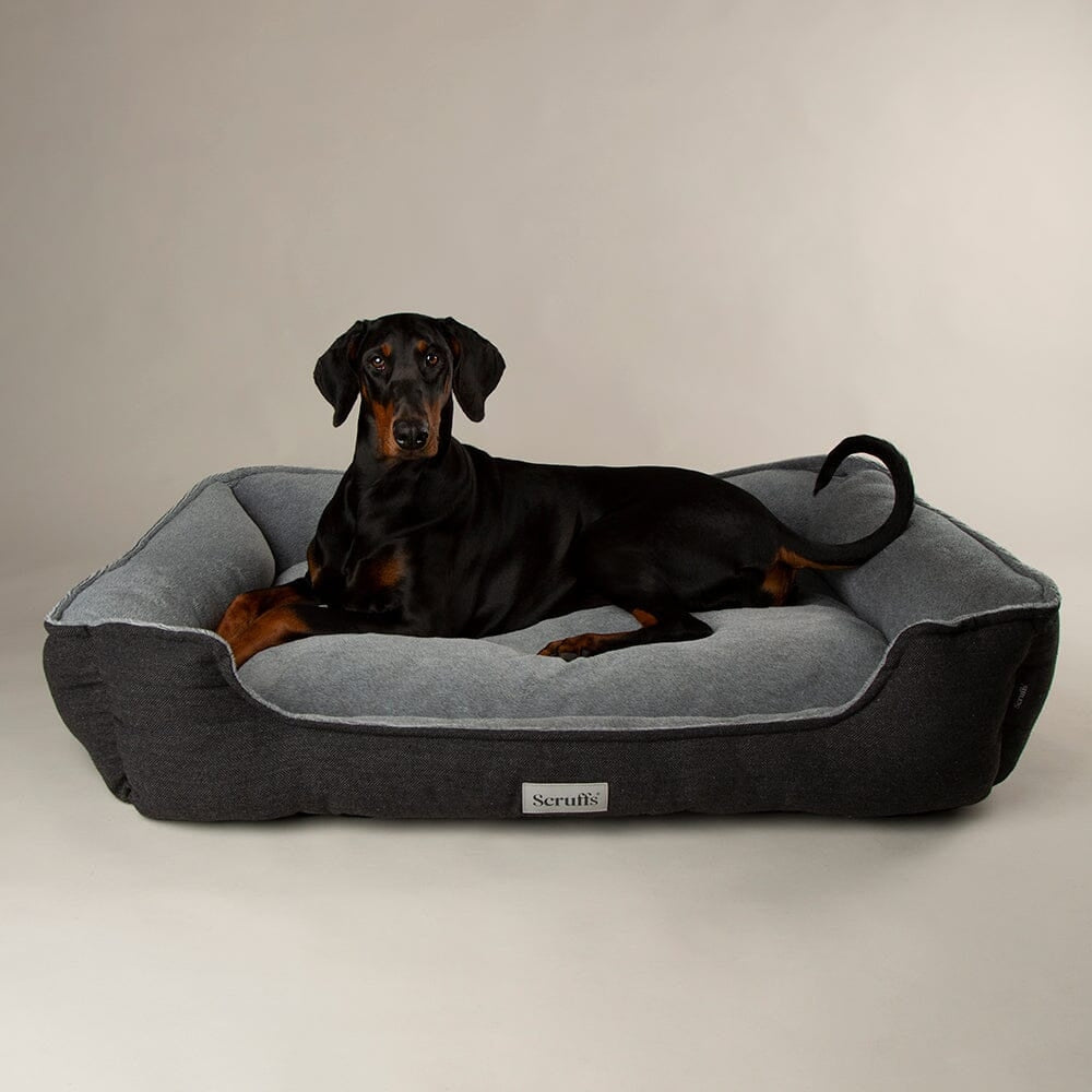 Harvard Memory Foam Box Dog Bed - Graphite Grey