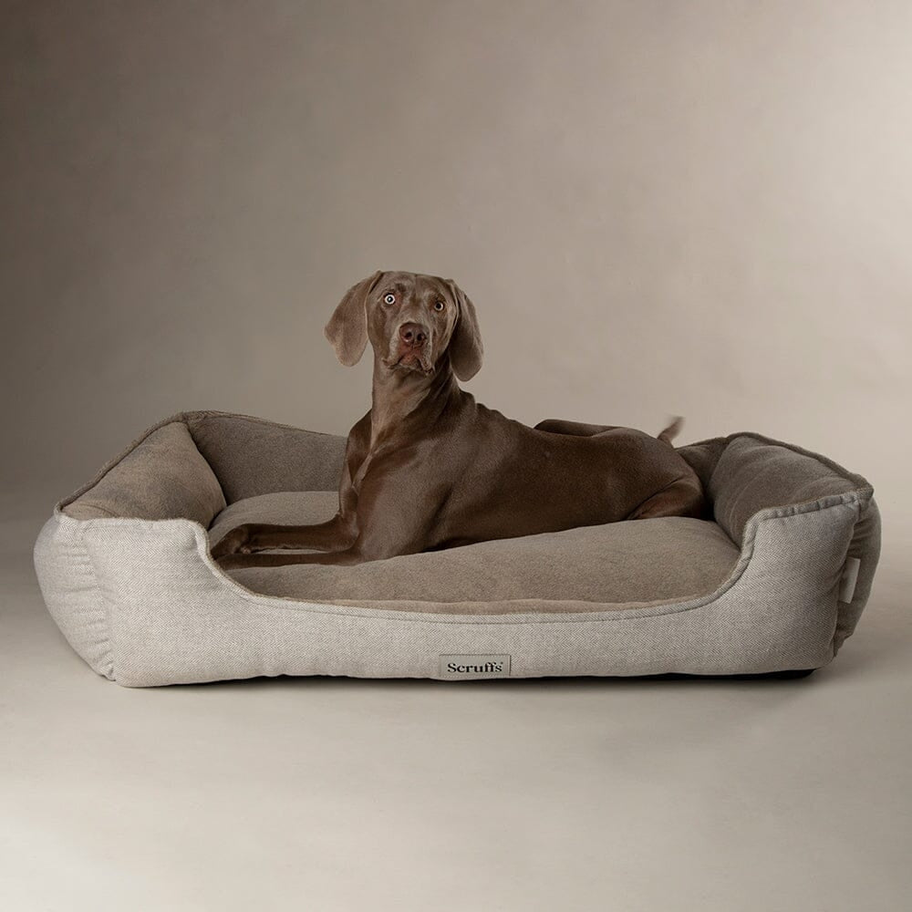 Harvard Memory Foam Box Dog Bed - Pearl Grey