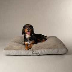 Harvard Memory Foam Mattress Dog Bed - Pearl Grey
