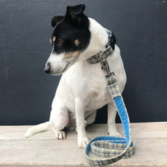 Harvest Donegal Tweed Velvet Lined Designer Dog Collar & Lead Set