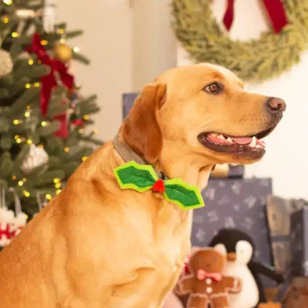 Holly Dog Bow Tie by House of Paws