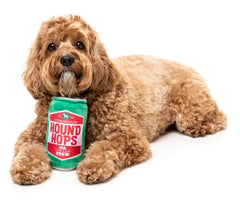 Hound Hops Dog Toy by FuzzYard