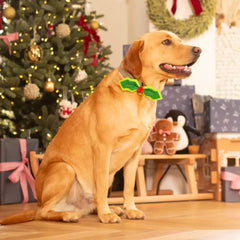 Holly Dog Bow Tie by House of Paws