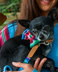 Hiro And Wolf Inca Blue Dog Bow Tie