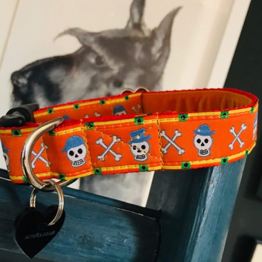 Jack o'Lantern Halloween Velvet Lined Designer Dog Collar