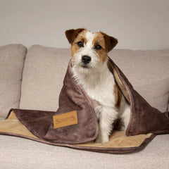 Kensington Pet Blanket - Chocolate