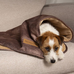 Kensington Pet Blanket - Chocolate