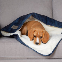 Kensington Pet Blanket - Navy Blue
