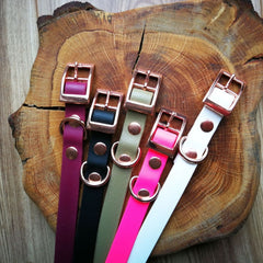 Multi Biothane Vegan Dog Collars