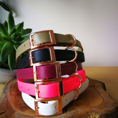 Multi Biothane Vegan Dog Collar
