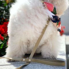 Khaki Biothane Vegan Dog Lead