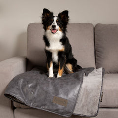 Knightsbridge Pet Blanket - Grey