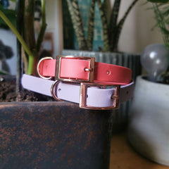 Lavender Biothane Vegan Dog Collar