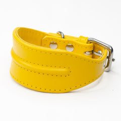 Line Dancer Stylish Whippet Dog Collar by Petiquette