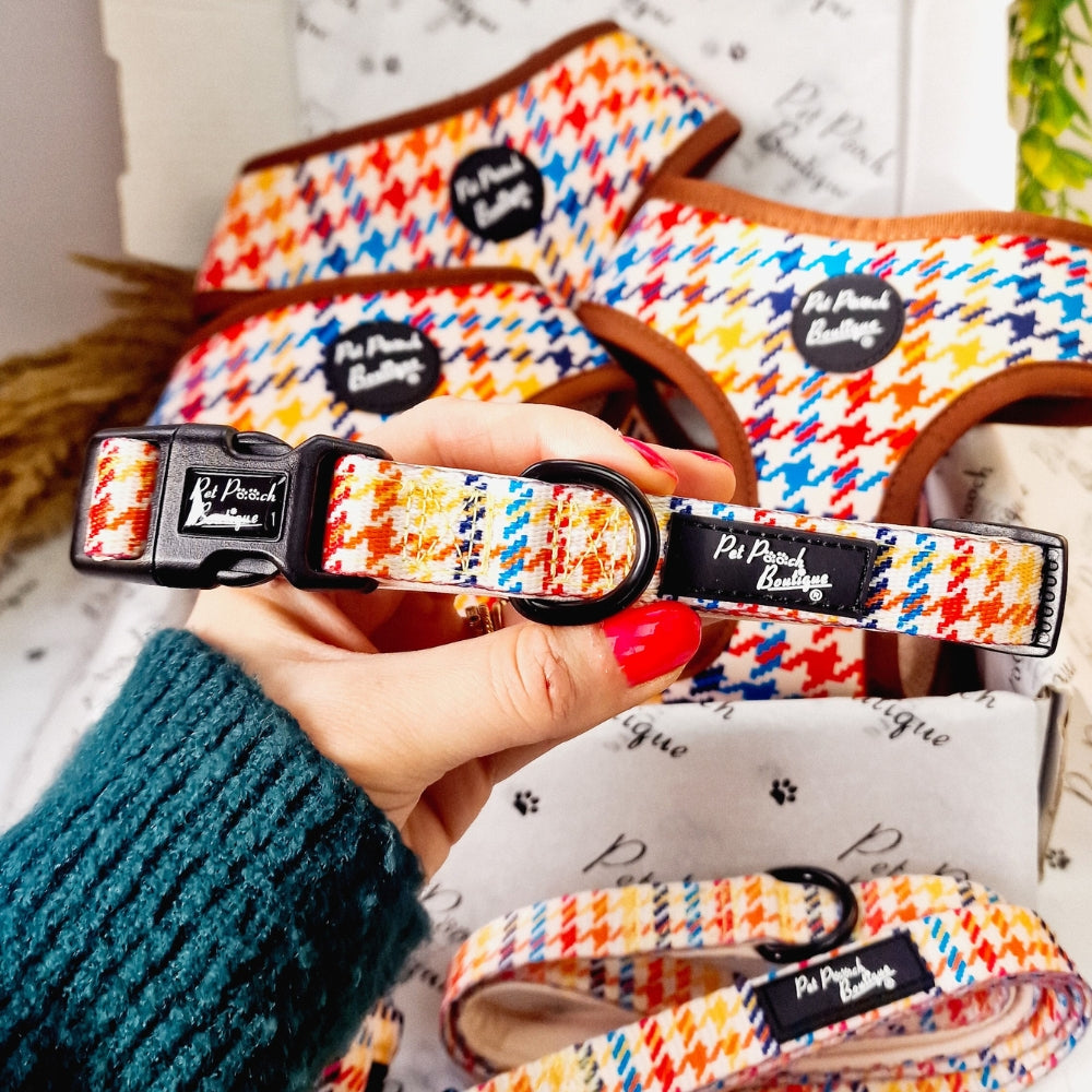 Lionheart Houndstooth Dog Collar