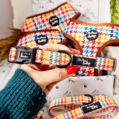 Lionheart Houndstooth Dog Collar