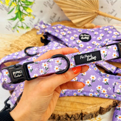 Lucky Little Lavender Daises Dog Collar With Optional Flower Accessory