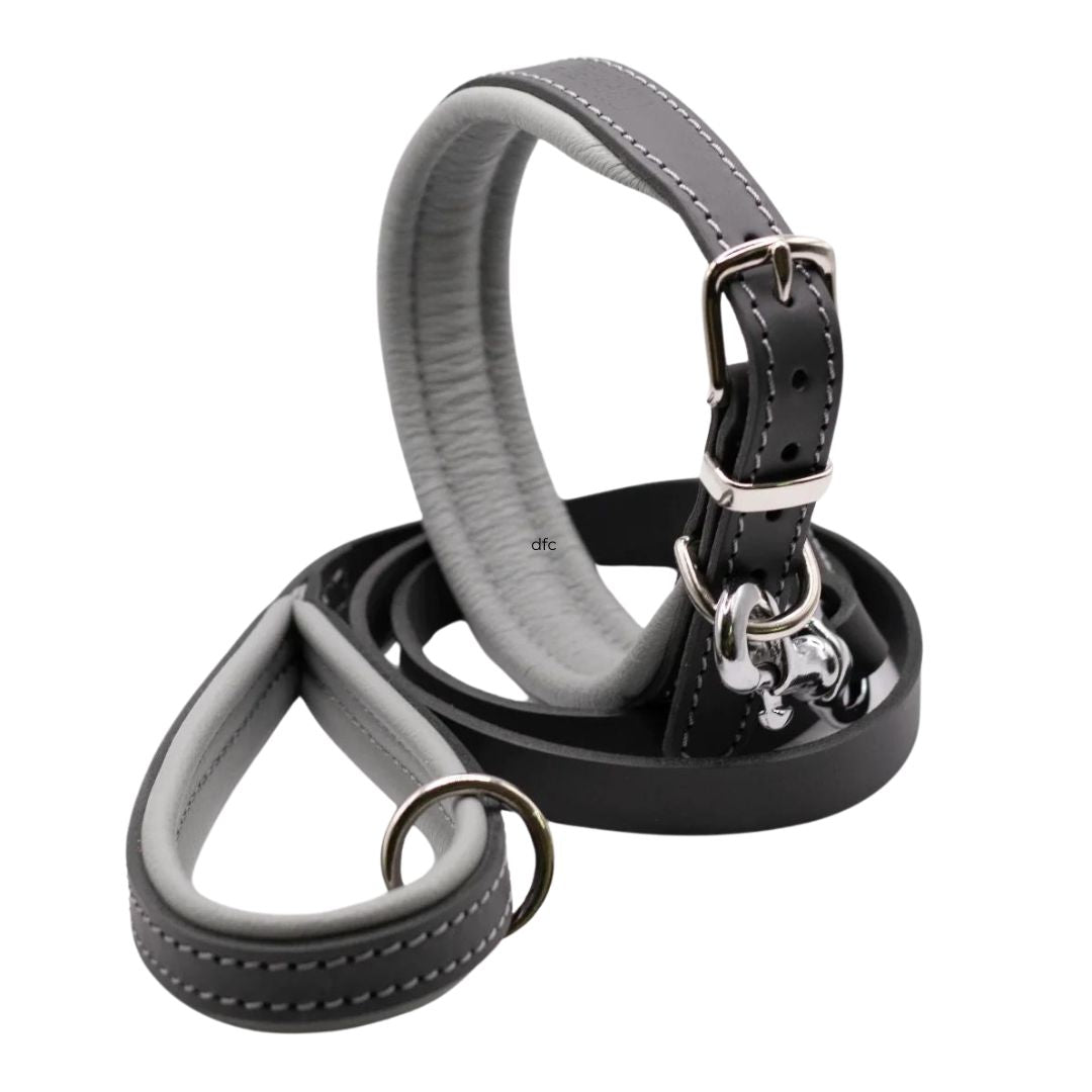 Luxury Grey Padded Leather Dog Collar and Lead Set by Dogs & Horses
