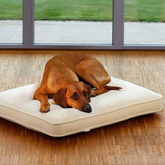 Luxury Lounge Uni Dog Bed With Fleece Cover