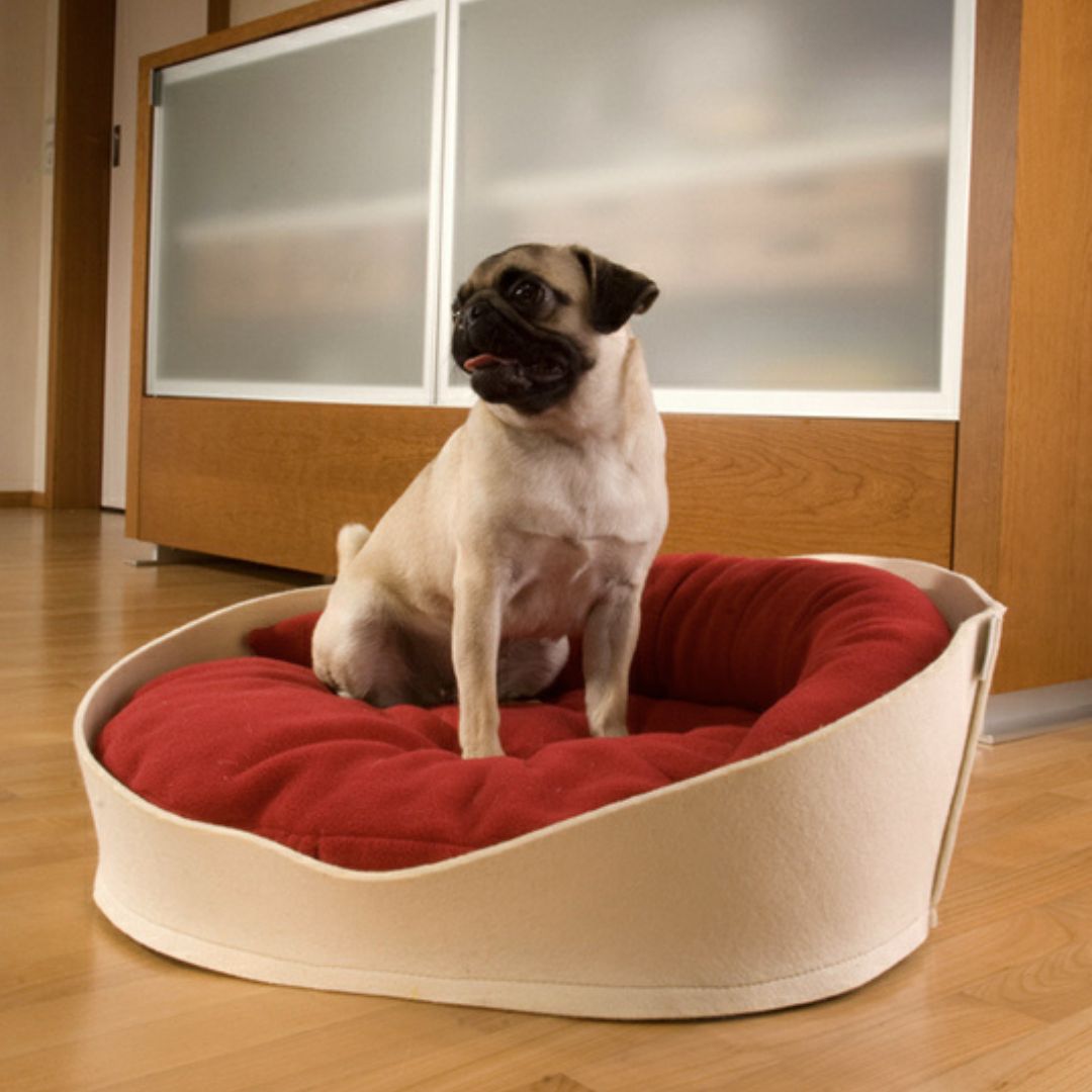 Luxury Orthopaedic Arena Felt Dog Bed