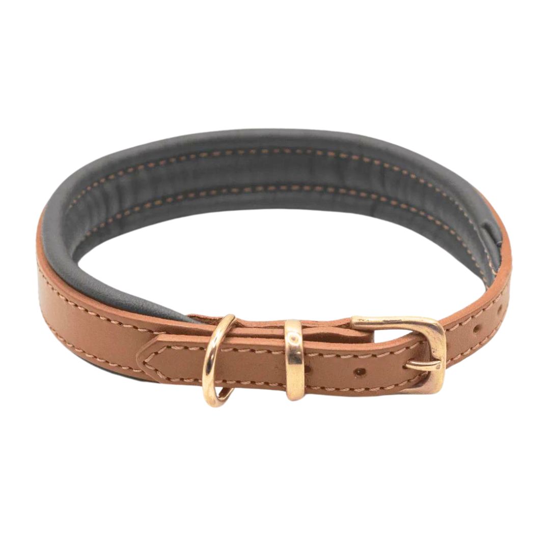 Luxury Padded Leather Dog Collar Tan & Racing Green by Dogs & Horses