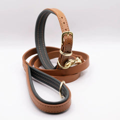 Luxury Padded Leather Dog Collar Tan & Racing Green by Dogs & Horses