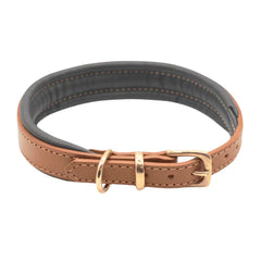 Luxury Padded Leather Dog Collar Tan & Racing Green by Dogs & Horses