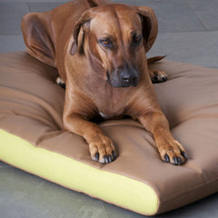 Luxury Peter Faux Leather Memory Foam Dog Bed