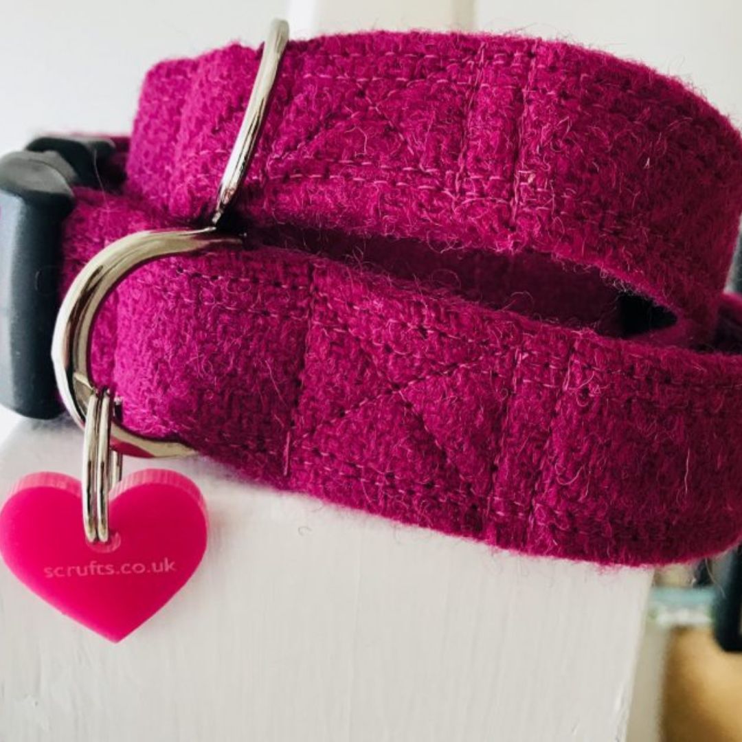 Madge Fuchsia Velvet Lined Harris Tweed Designer Dog Collar