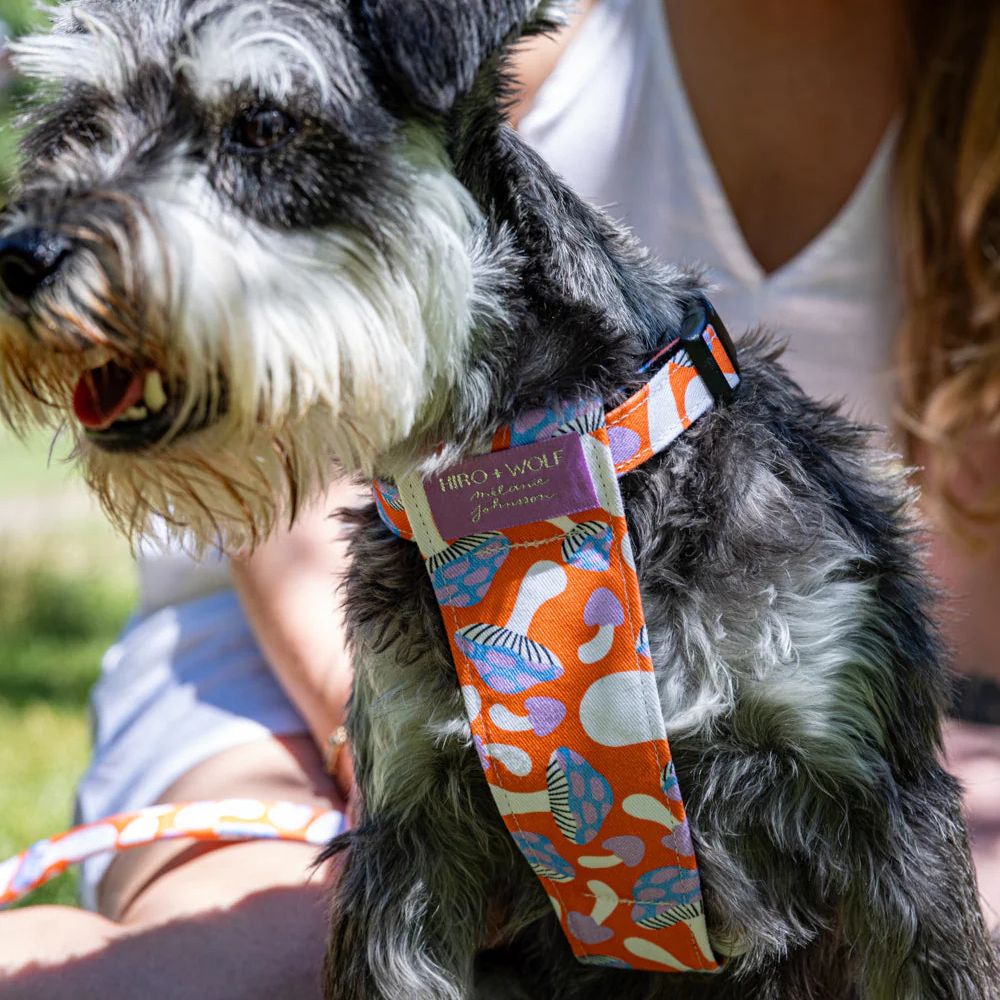 Magical Mushrooms Dog Harness by Hiro and Wolf