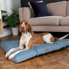 Manhattan Dog Mattress - Denim Blue