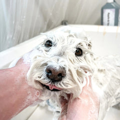 Marshmallow Brightening Dog and Puppy Facial 250ml