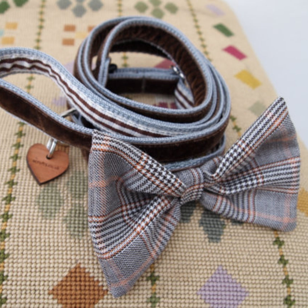 Mini Astaire Bow Tie Puppy Collar and Lead Set