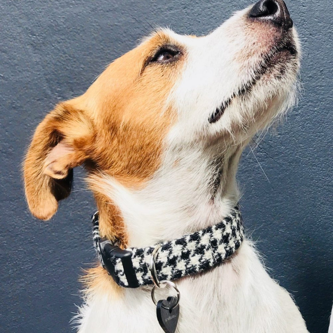 Mono Harris Tweed Black and White Dogtooth Designer Dog Collar